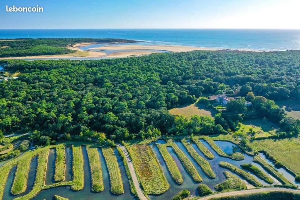 Studio Au Coeur Du Golf De Port Bourgenay, Proche Des Sables D'Olonne Talmont-Saint-Hilaire Ngoại thất bức ảnh